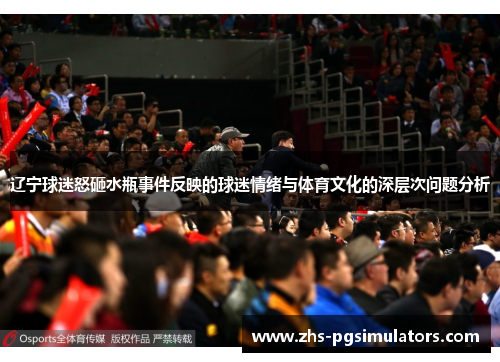 辽宁球迷怒砸水瓶事件反映的球迷情绪与体育文化的深层次问题分析 辽宁球迷怒砸水瓶事件反映的球迷情绪与体育文化的深层次问题分析