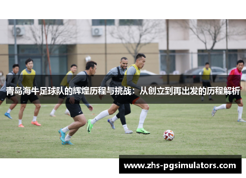 青岛海牛足球队的辉煌历程与挑战：从创立到再出发的历程解析